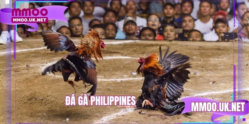 Đá Gà Philippines