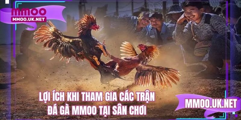 Lợi ích khi tham gia các trận đá gà MMOO tại sân chơi