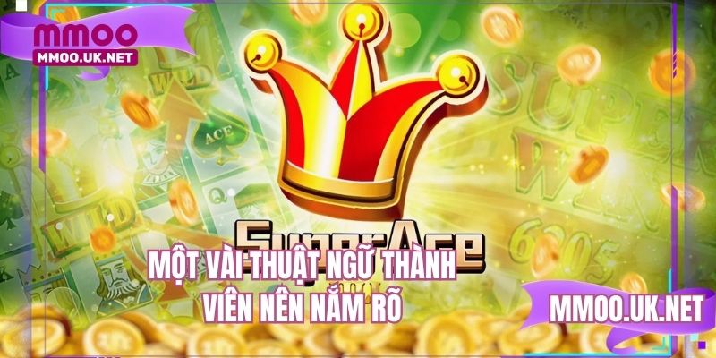 Một vài thuật ngữ thành viên nên nắm rõ