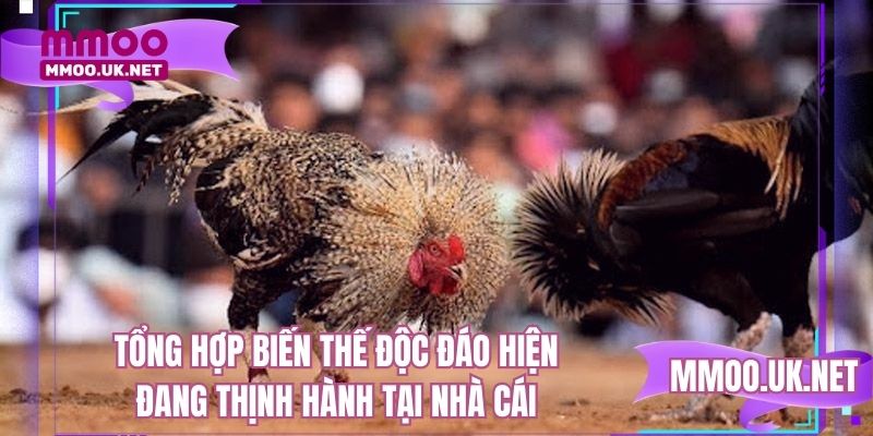 Tổng hợp biến thế độc đáo hiện đang thịnh hành tại nhà cái